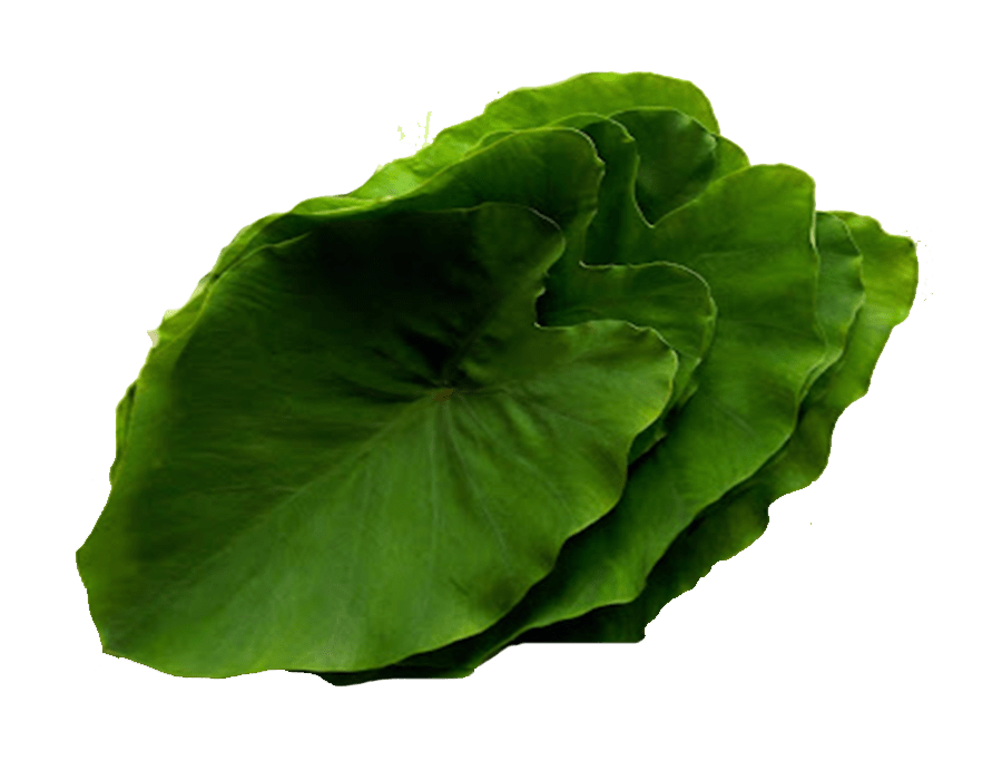 Aloo Leaves