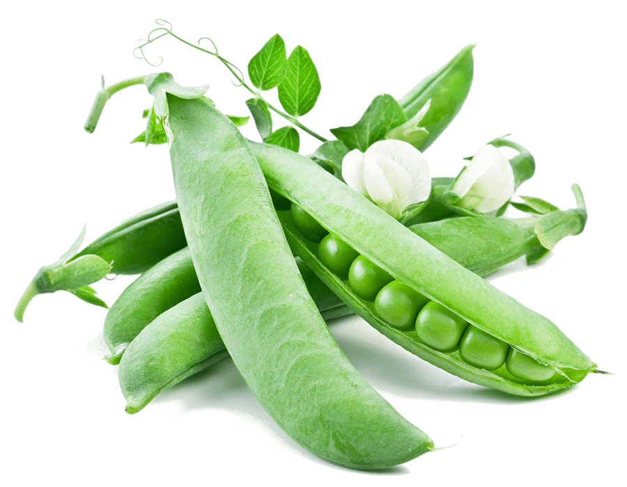 Green Peas Pods