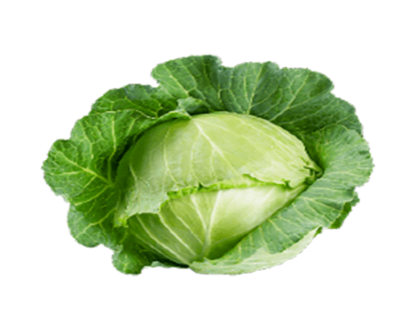 Iceberg Lettuce