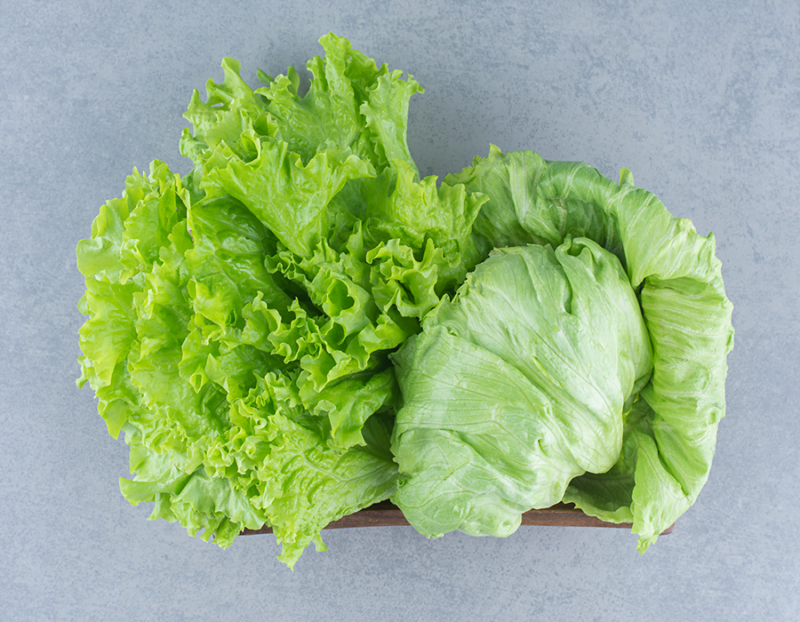 Iceberg Lettuce