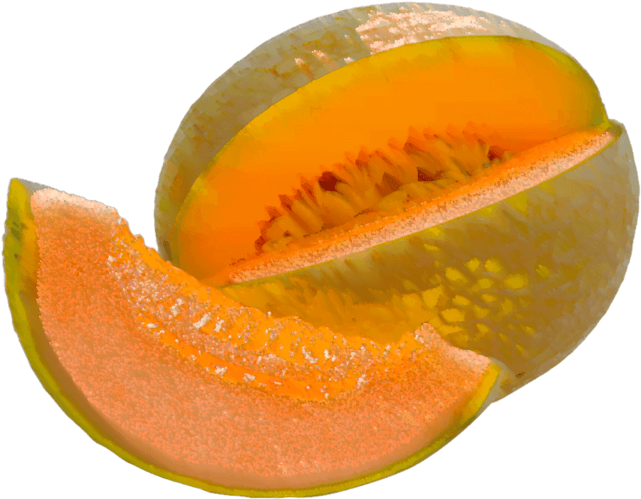 Muskmelon