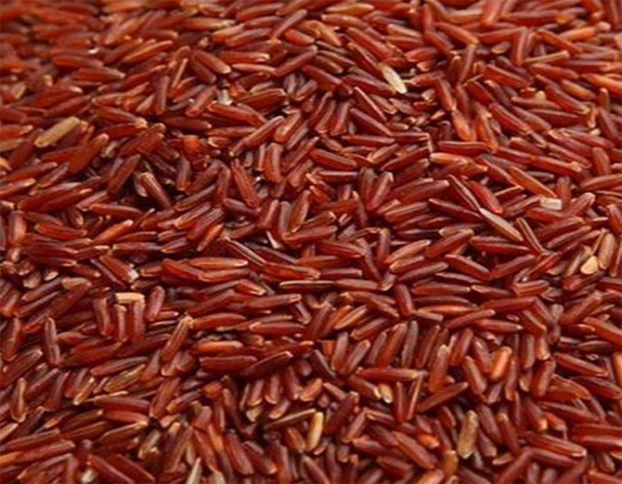 Red Rice