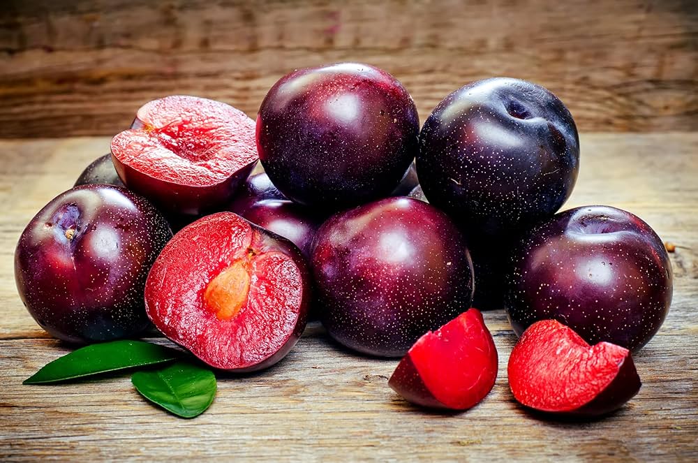 Plum 500 g punnet